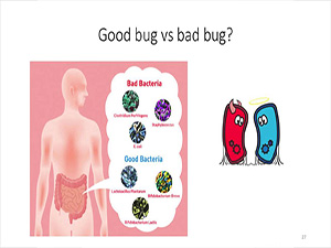 The World Within: The Microbiome and Mucosal Immunity in HIV Medicine